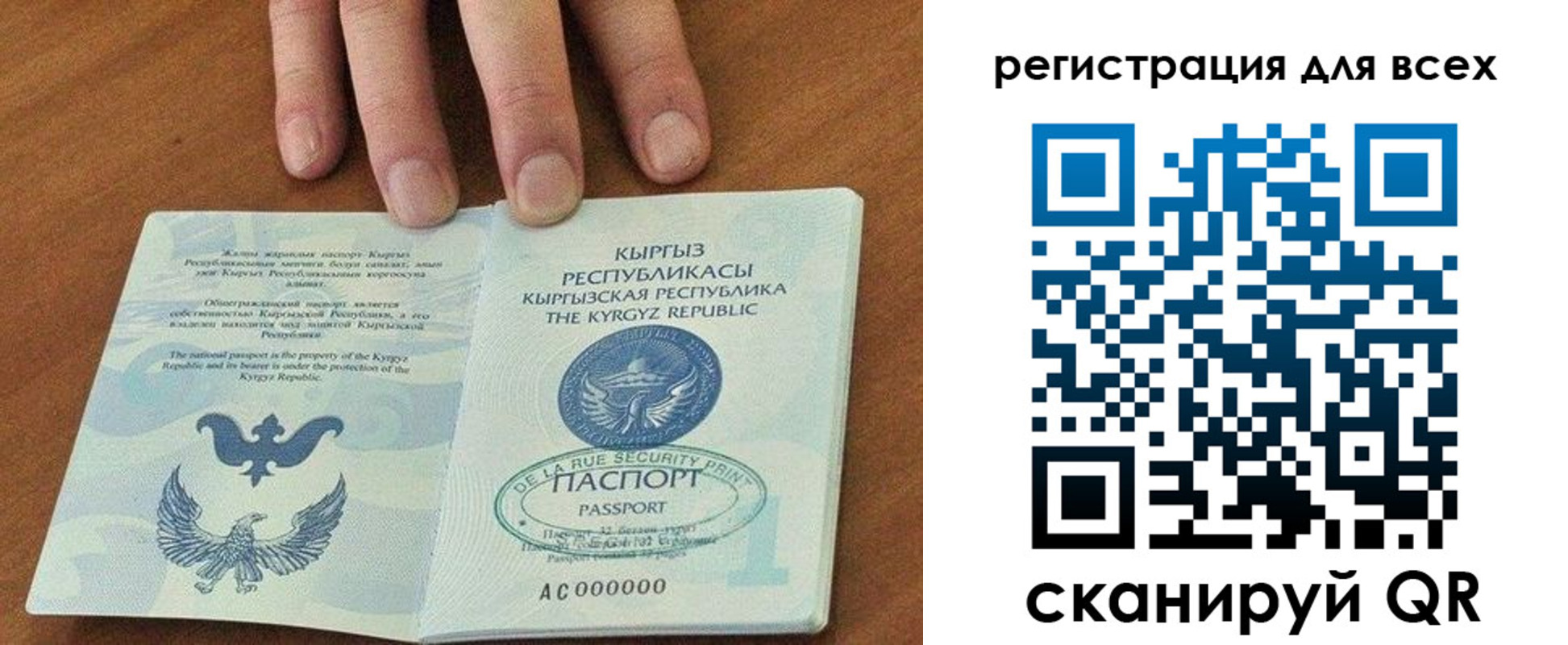 прописка для школы в Бавлах